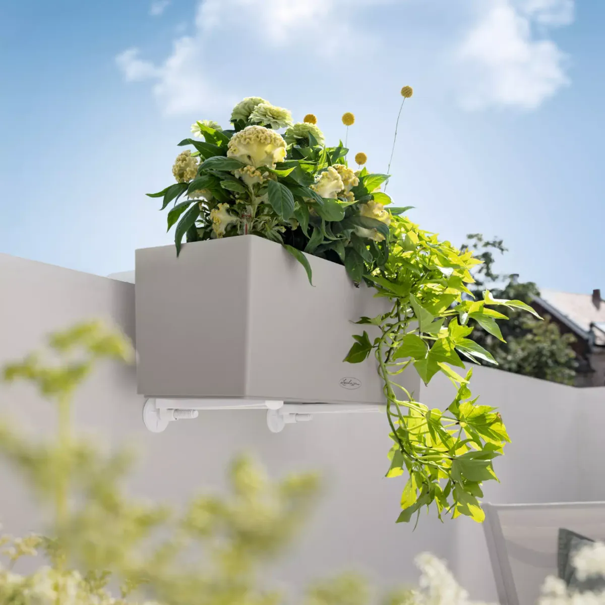 Brakettsett  for balkongvegg til Lechuza Balconera, Sort